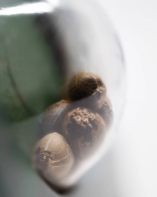 Sensi Seeds-Ed Rosenthal Super Bud
