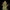 Fat Banana Auto - Cannaseuse - Curated Genetics - Royal Queen Seeds