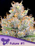 Anesia Seeds-Future 1