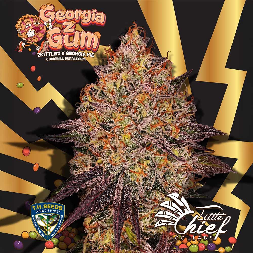 Little Chief Collabs-GeorgiaZGum