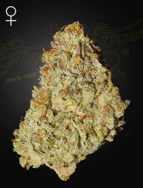 Green House Seeds-Super Banana Mango