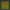 Grounded Genetics-Pink Honey