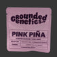 Grounded Genetics-Pink Pina