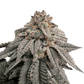 Grateful Seeds-Hash Belt
