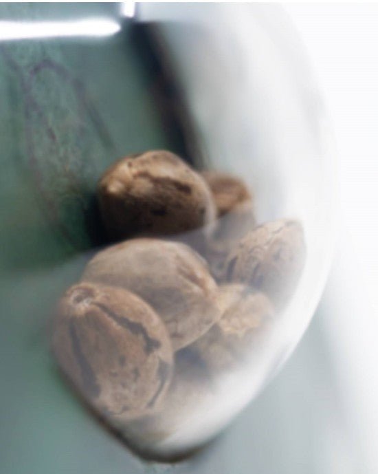 Hash Plant