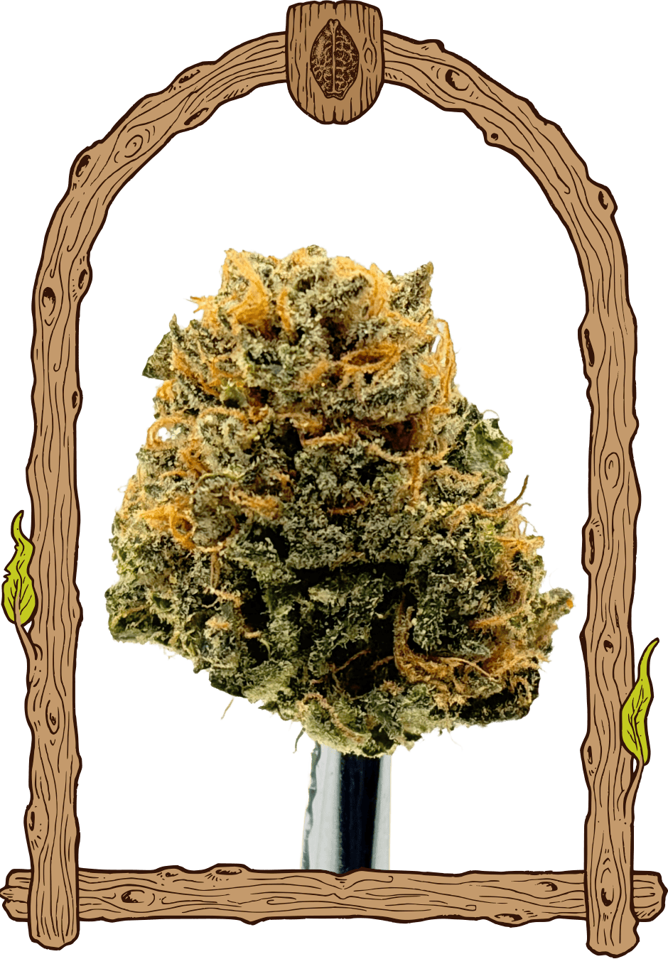 Exotic Seed-Herz OG
