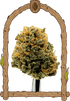 Exotic Seed-Herz OG