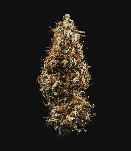 HulkBerry Auto - Cannaseuse - Curated Genetics - Royal Queen Seeds