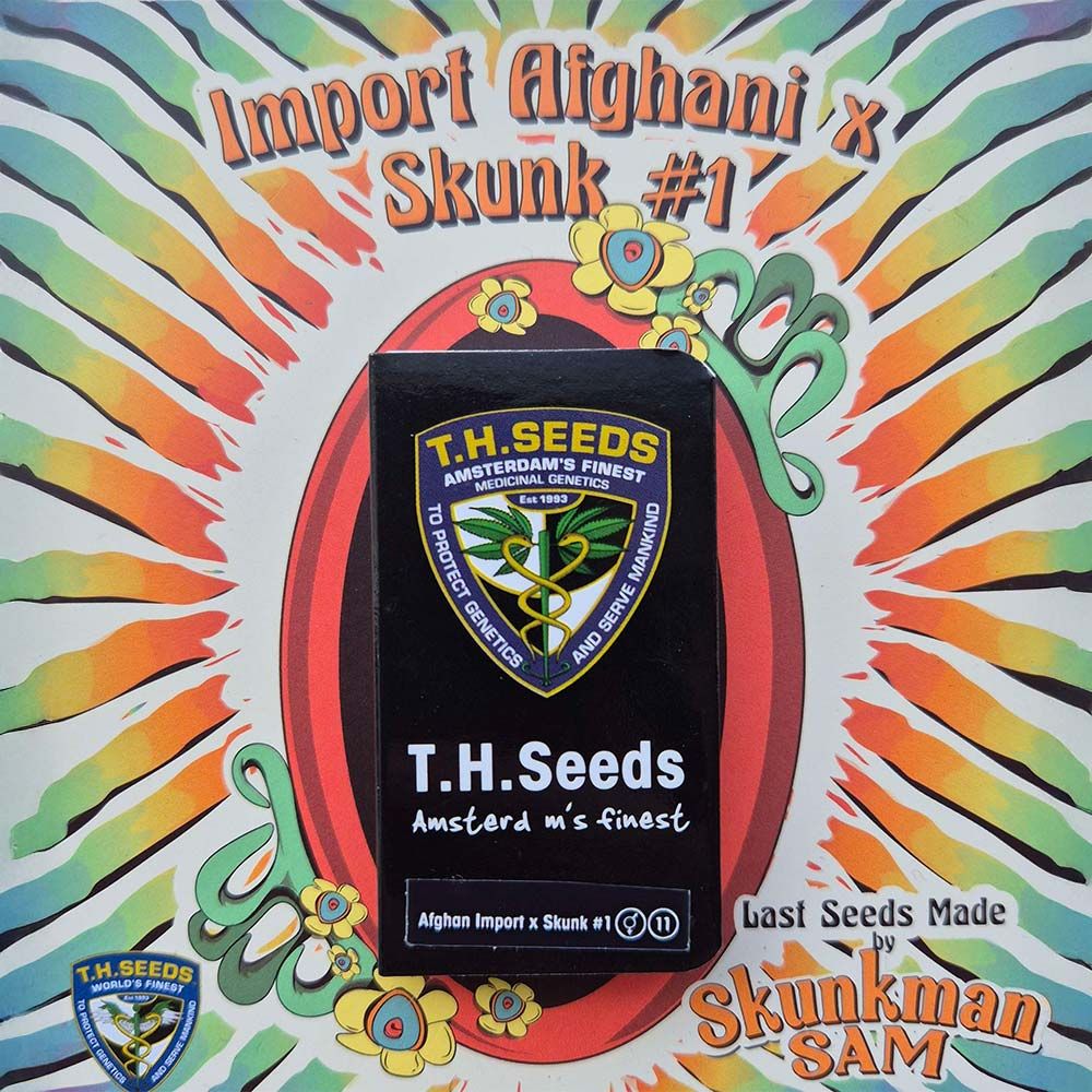 Import Afghani x Skunk #1