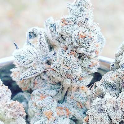Inhouse Genetics-Jelly Breath S1