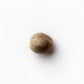 Sensi Seeds-Jack Flash 5