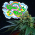 Perfect Tree Seeds-Lime OZZ