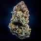 Mephisto Genetics-Mephisto's Wedding