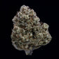 Mephisto Genetics-Toofless Alien