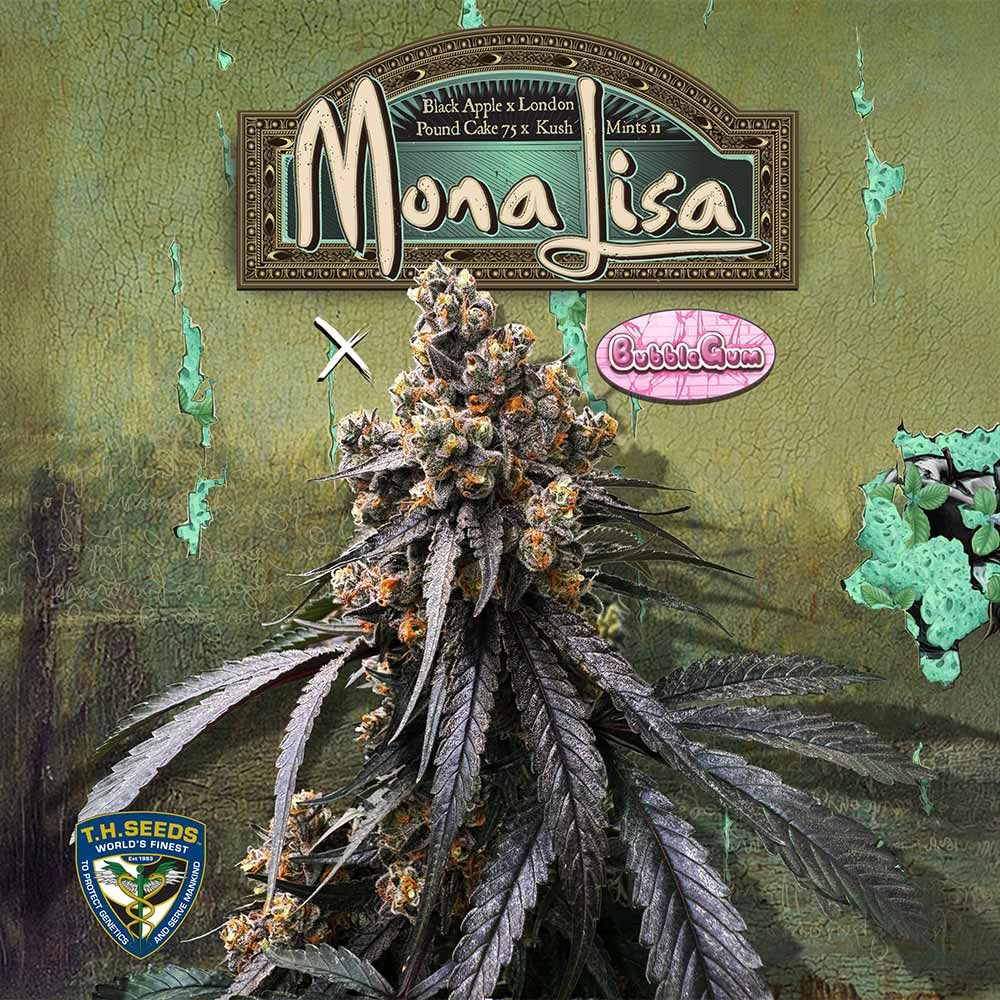T.H.Seeds-Mona Lisa x Bubblegum