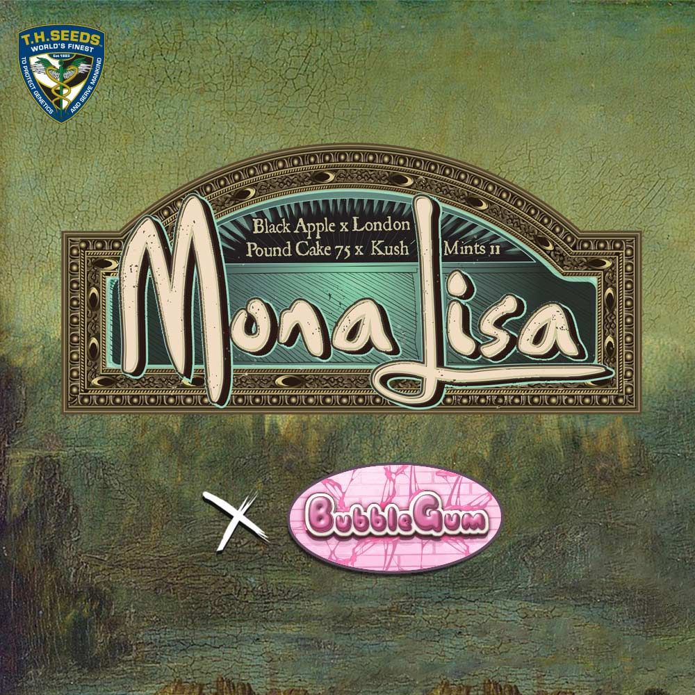 T.H.Seeds-Mona Lisa x Bubblegum