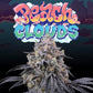 Perfect Tree Seeds-Peach Clouds