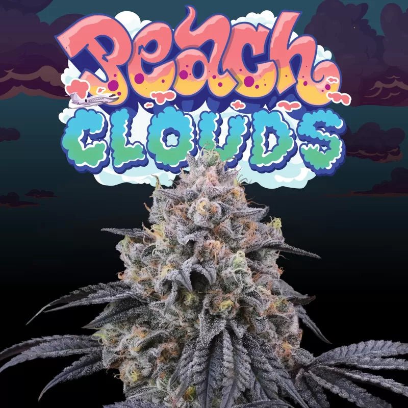 Peach Clouds