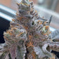 Grounded Genetics-Pinata