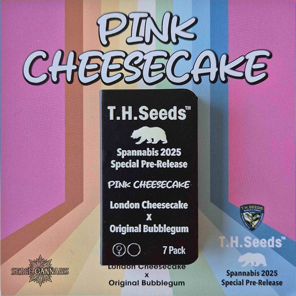 Pink Cheesecake