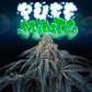 Perfect Tree Seeds-Puff Mints