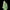 Quick One Auto - Cannaseuse - Curated Genetics - Royal Queen Seeds