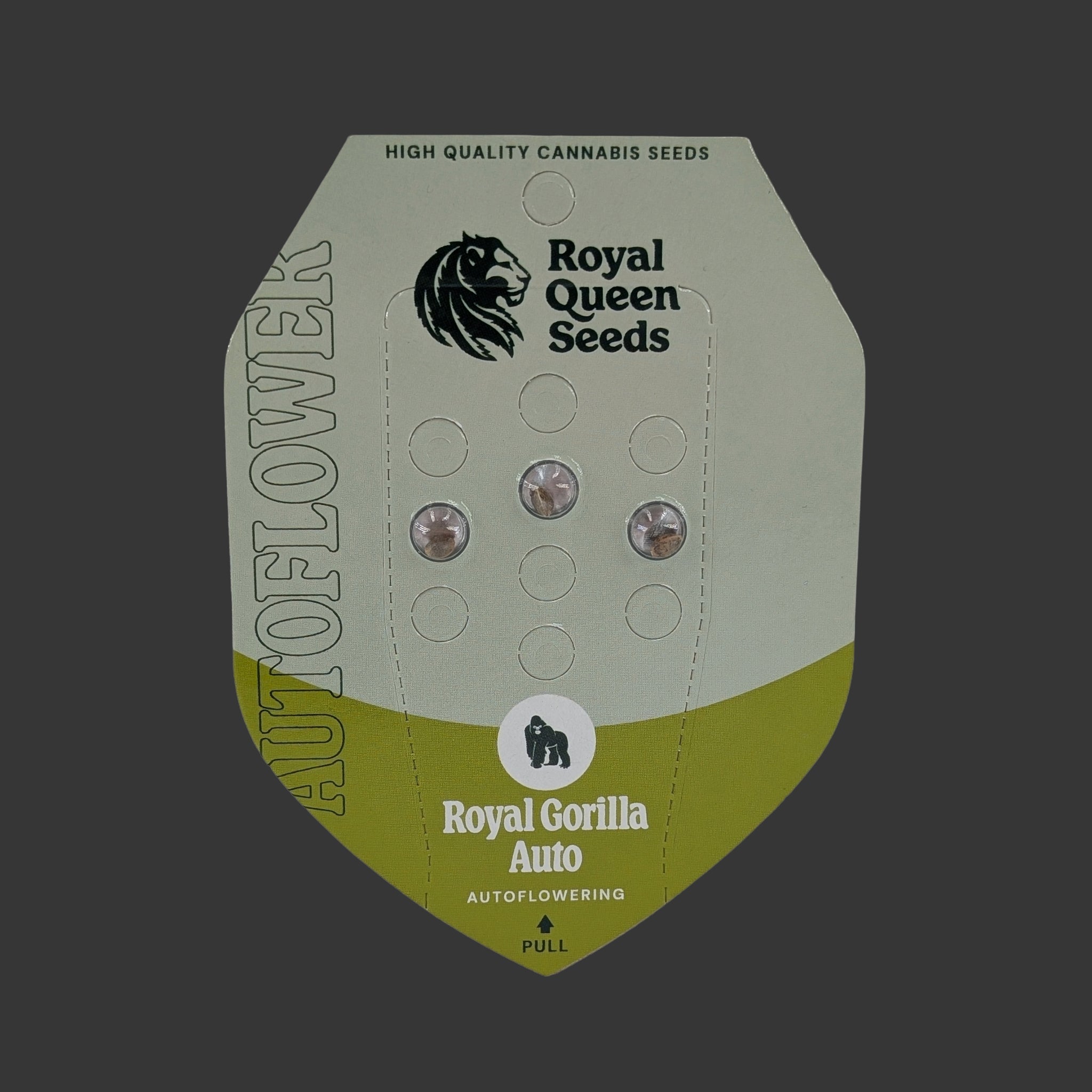 Royal Gorilla Auto