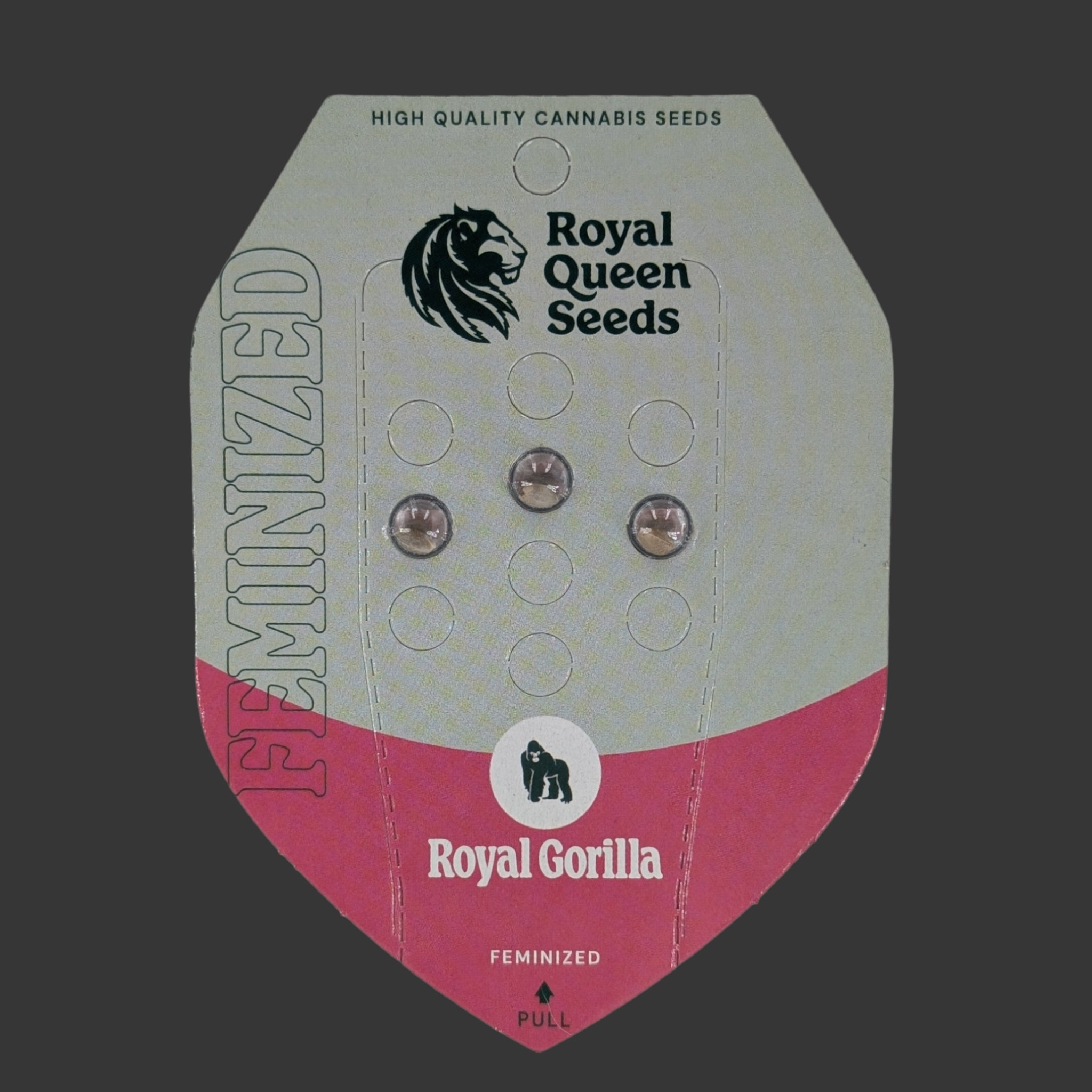 Royal Gorilla