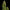 Royal Jack Auto - Cannaseuse - Curated Genetics - Royal Queen Seeds
