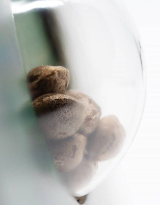 Sensi Seeds-Ruderalis Indica