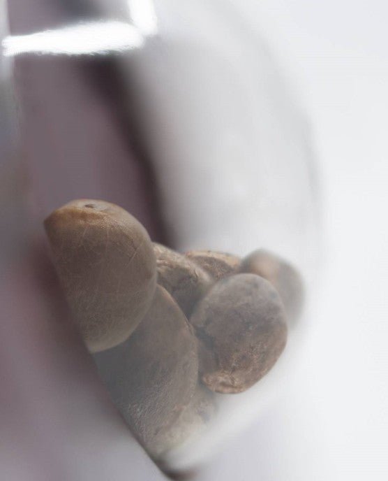 Sensi Seeds-Sensi Amnesia