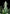 Six Shooter Auto - Cannaseuse - Curated Genetics - 42 Fast Buds