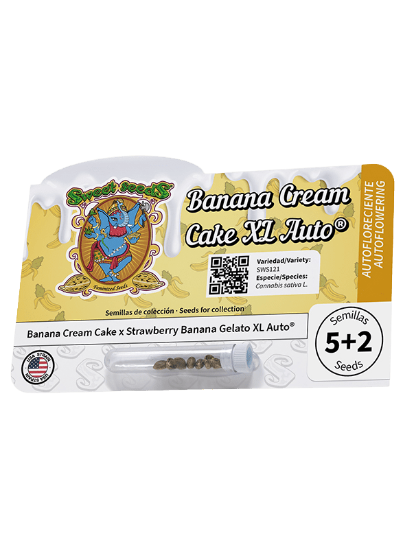 Sweet Seeds-Banana Cream Cake XL Auto®