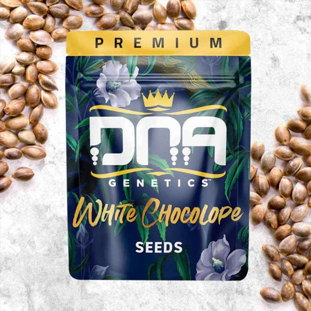 DNA Genetics-White Chocolope