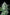 White Widow Auto - Cannaseuse - Curated Genetics - 42 Fast Buds