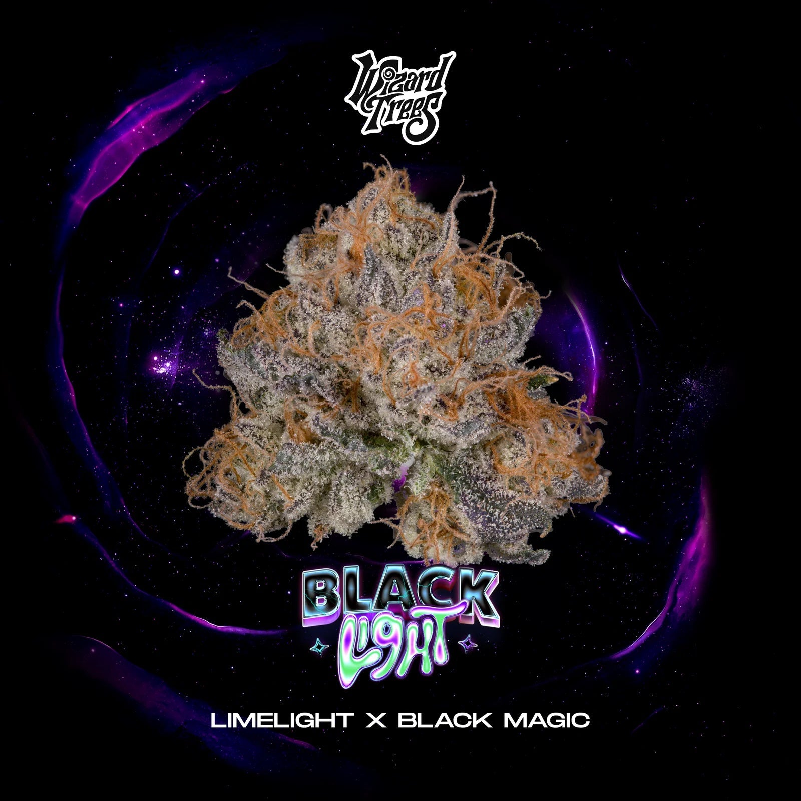 Wizard Trees-Black Light