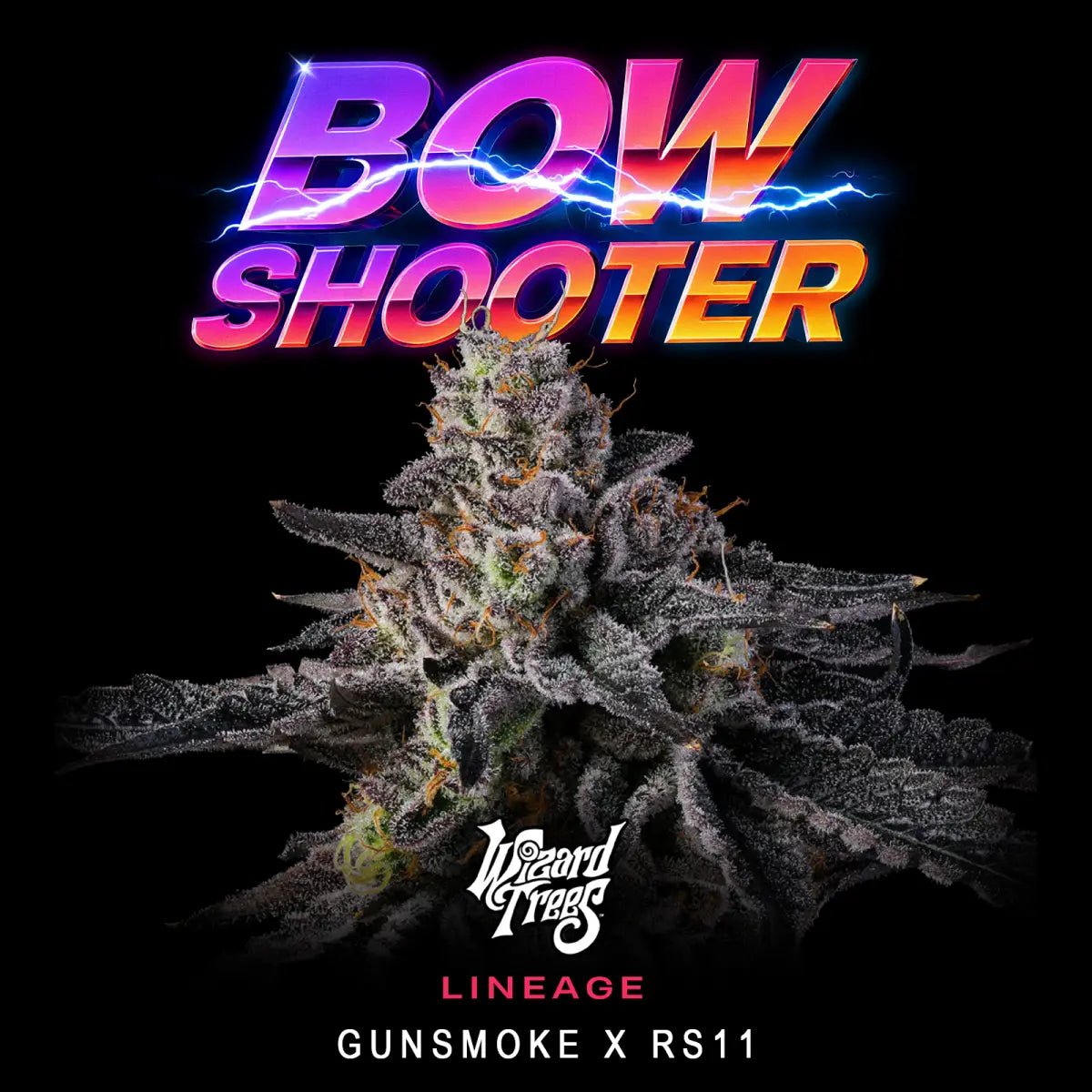 Wizard Trees-Bow Shooter