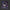 Wizard Trees-Lemon Fever