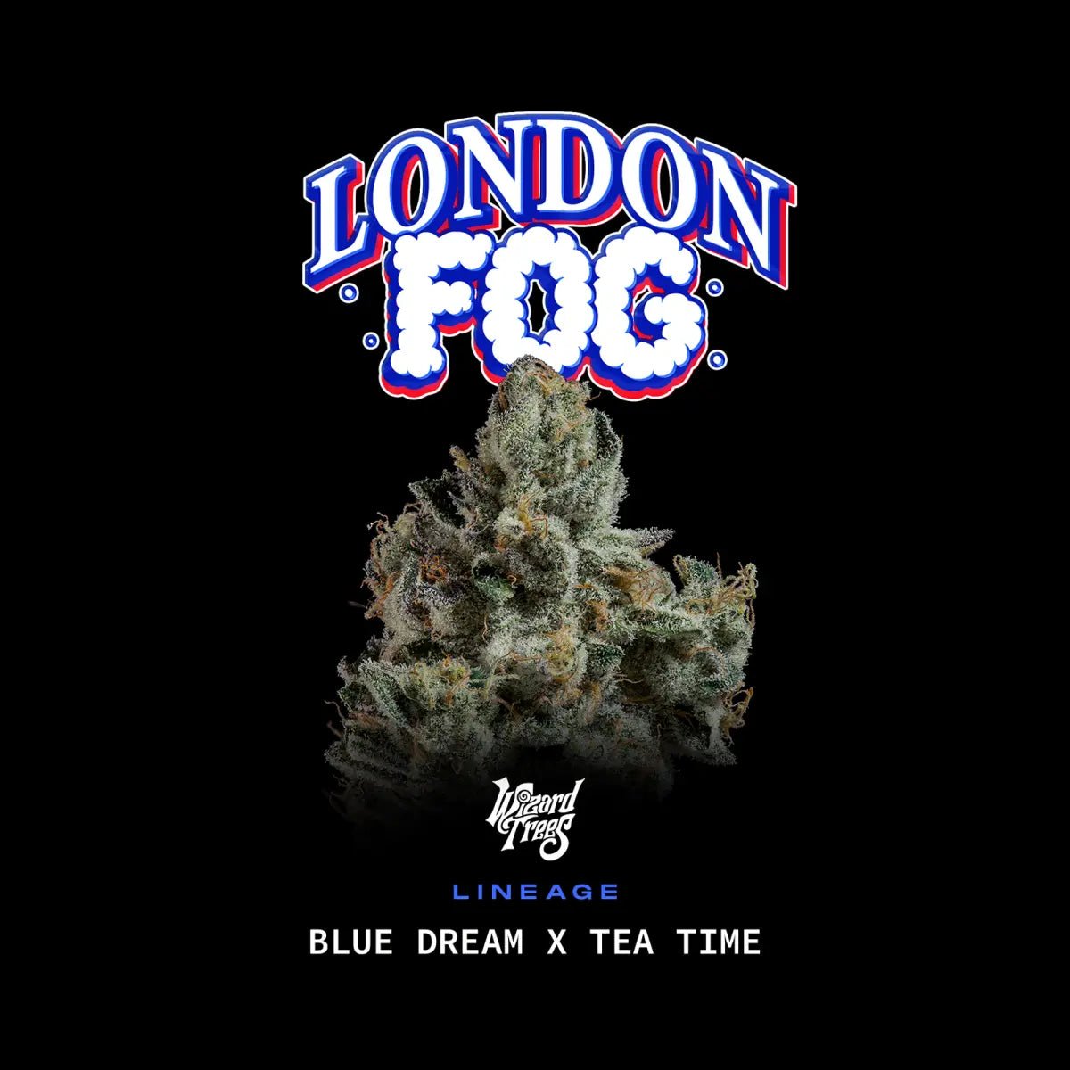 Wizard Trees-London Fog