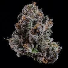 Wizard Trees-OG Hour