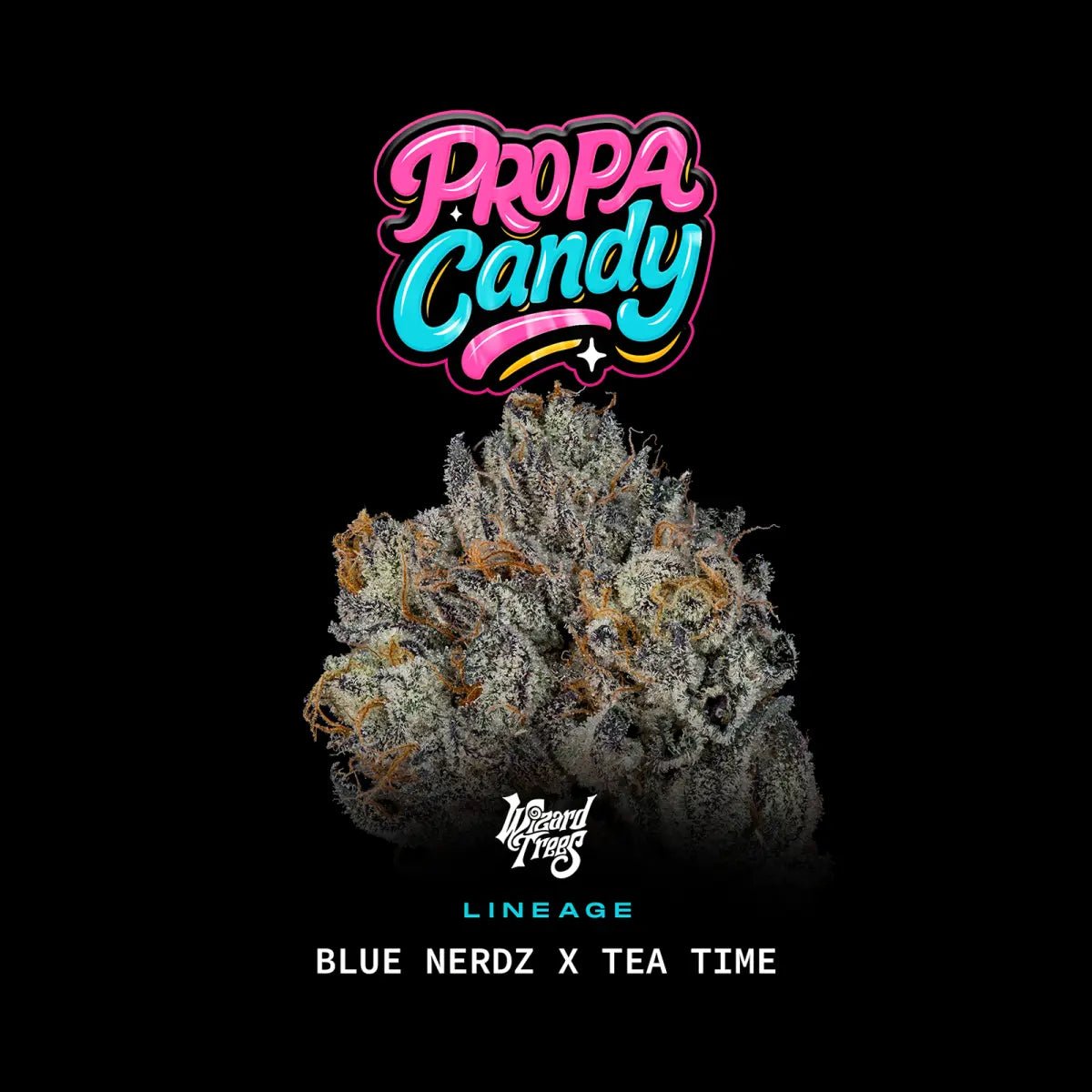 Wizard Trees-Propa Candy
