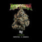 Wizard Trees-Ropegria