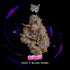 Wizard Trees-Shazam