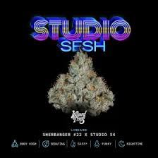 Wizard Trees-Studio Sesh