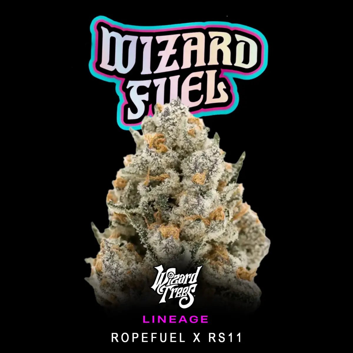 Wizard Trees-Wizard Fuel