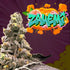 Perfect Tree Seeds-Zahemi